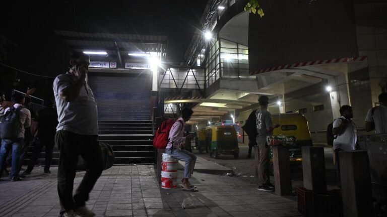 Ahead of the anti-CEC protest, Delhi Police arrested at least 100 people with criminal records in a night-time operation