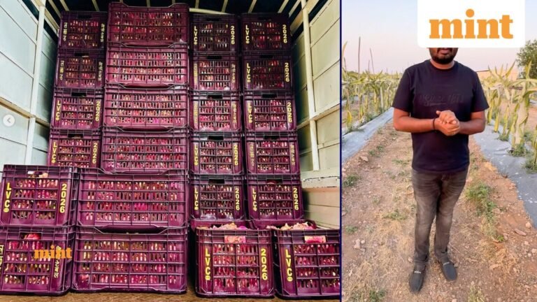 One Crop Changed Everything: Meet the Maharashtra Farmer Who Makes ₹2 Million Annual Turnover Selling Fruit | Today’s news