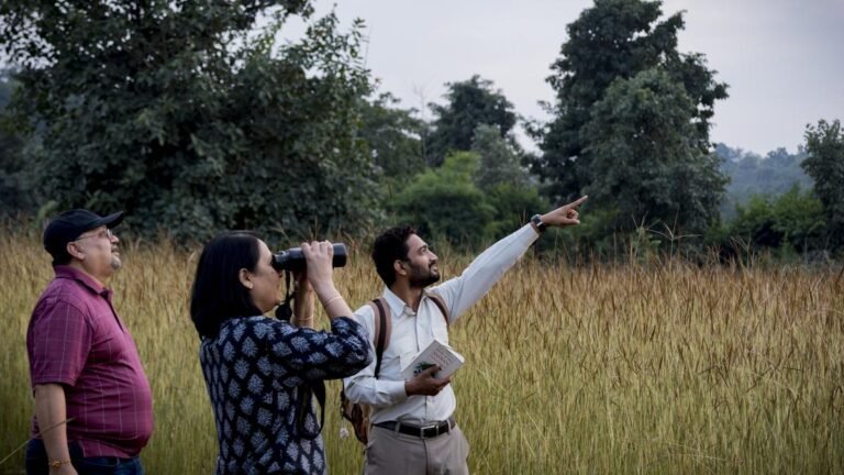 Inside the forests of Bandhavgarh: The evolving nature of tiger tourism