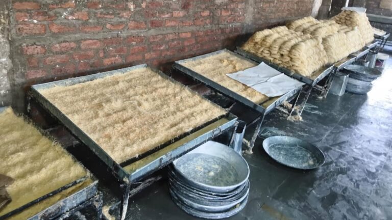 1,950 kg of counterfeit pheni seized in Hyderabad ahead of Dasara, Diwali