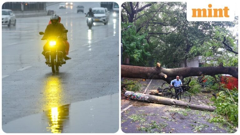 Weather update, onset of Northeast Monsoon: IMD predicts heavy rain in Tamil Nadu, Kerala, Karnataka this week | Today’s news