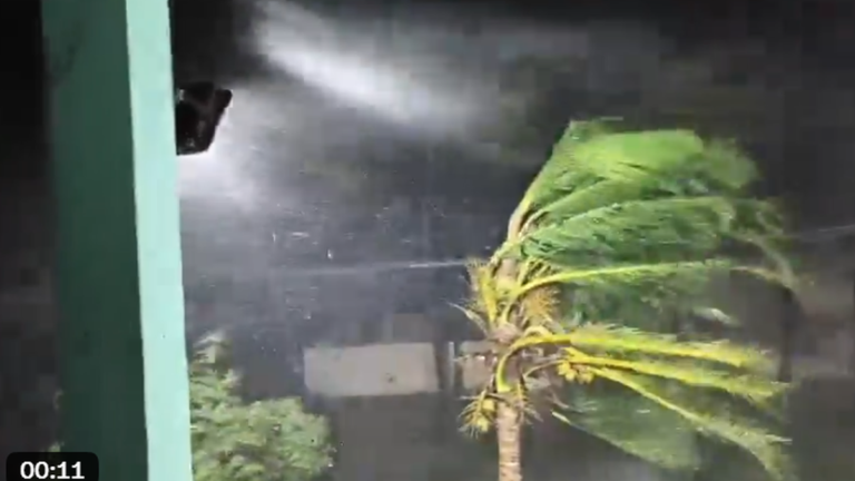 Cyclone Arnab continues along Andhra coast | Highlighting