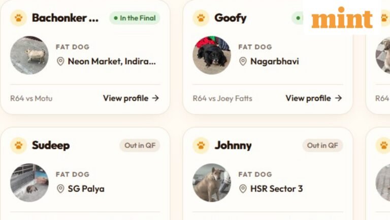 Bengaluru’s ‘Fat Dog Election’: 64 Canine Candidates, Two Finalists and an Internet-Powered Showdown | Today’s news