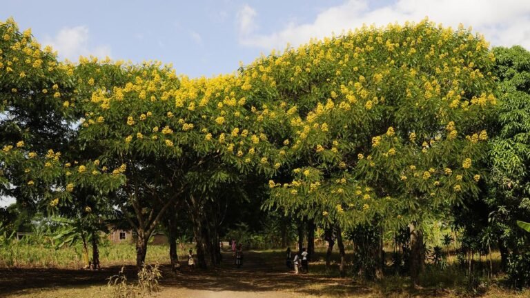 Invasive species may be the wrong enemy on a changing subcontinent