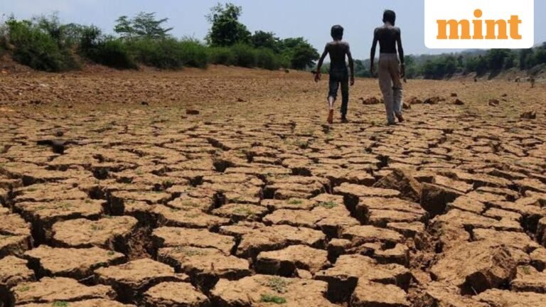 85% of Maharashtra’s taluks face drought; Devendra Fadnavis promises ₹5000 aid before Diwali | Today’s news