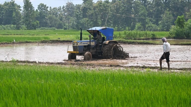 Most rural farm workers entrenched in unproductive, informal urban jobs over 25 years: study