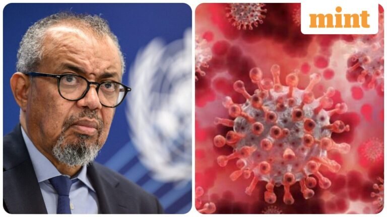 Explanation: What is Shamonda virus? WHO says first human case reported in France – risks to humans and animals cited | Today’s news