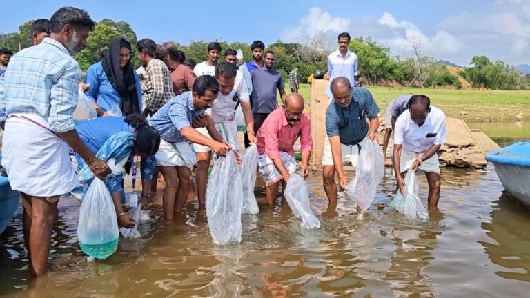 4.63 lakh will be released in the Palakkad reservoirs