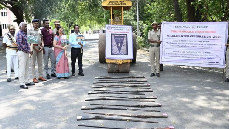 Forest Department destroys 125 illegal country-made weapons in Tiruvannamalai