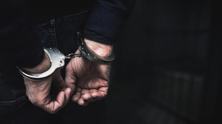 How did the oversight committee strengthen the arrest warrants? | Explained