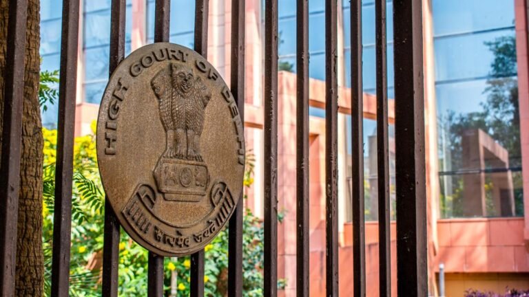 Visa alone does not guarantee entry into India: What does Delhi HC say?