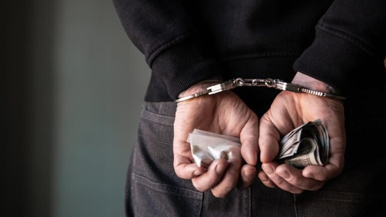 Narcotics-related offences: Bail can be denied even after a year in jail, says Madras HC