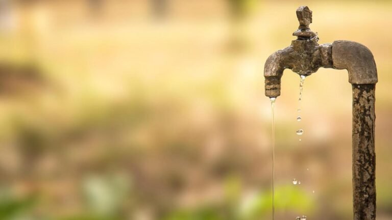 Areas at the Kochi end parched as water crisis deepens