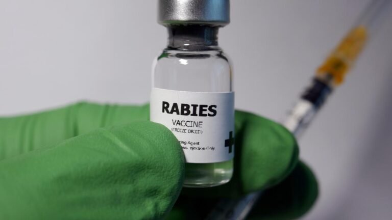 Inconsistency in data on rabies deaths is a major challenge