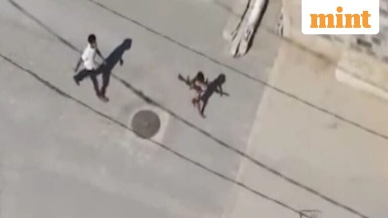 IDF video: Child allegedly used as ‘human shield’ to move weapons in Gaza | Today’s news