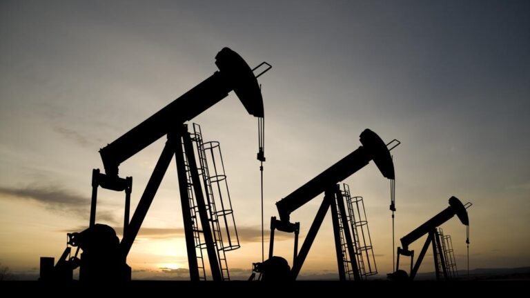 India took more than two-thirds of its August oil imports from just three countries