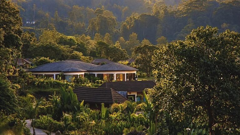 Karnataka Coffee Country: Inside the Most Impressive Plantations