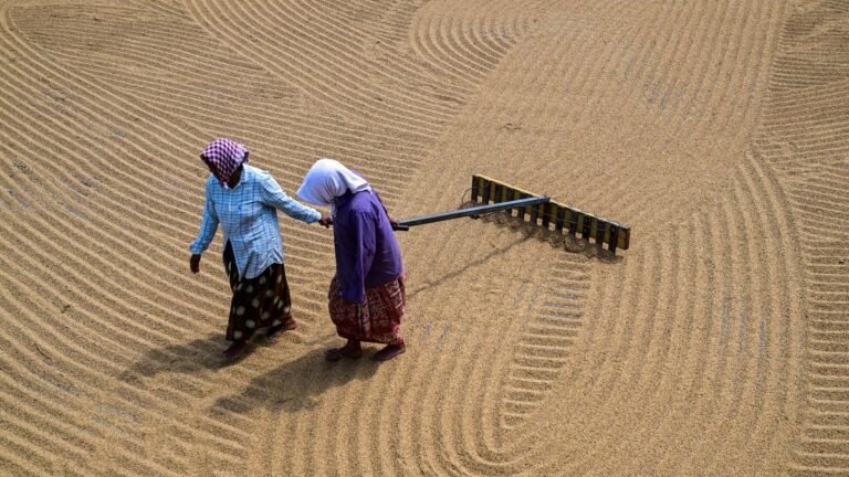 Delhi Conference to explore new markets for Indian rice