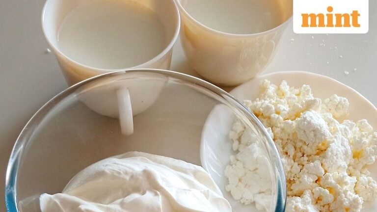 Aavin price hike: Milk, ghee to cost more from Oct 28 ahead of Diwali – 1st revision under CM Vijay | Check the new rates | Today’s news