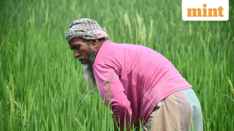 PMO weighs farmers’ interests as government considers total ban on FDI in tobacco | Today’s news