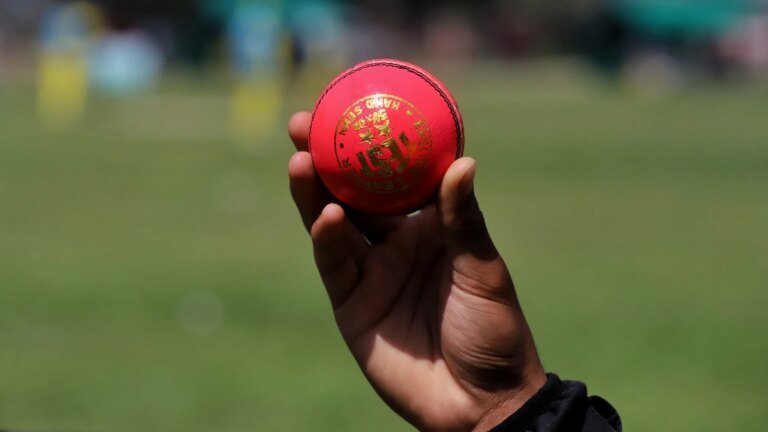 Bad light in test cricket? Shaun Pollock suggests a pink ball solution