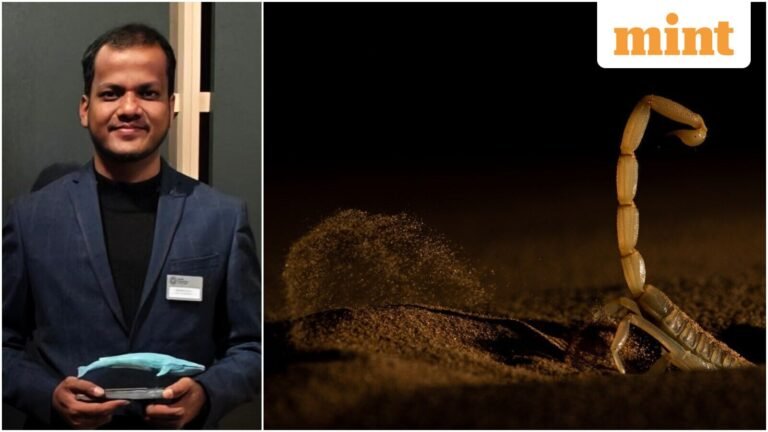 Wildlife Photographer of the Year 2026: Meet India’s Sitaram Raul, who won the prize for his photo of a scorpion in Rajasthan | Today’s news