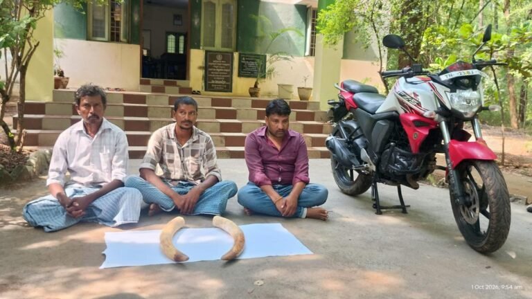Gang held for possession of two elephant tusks in Vellore